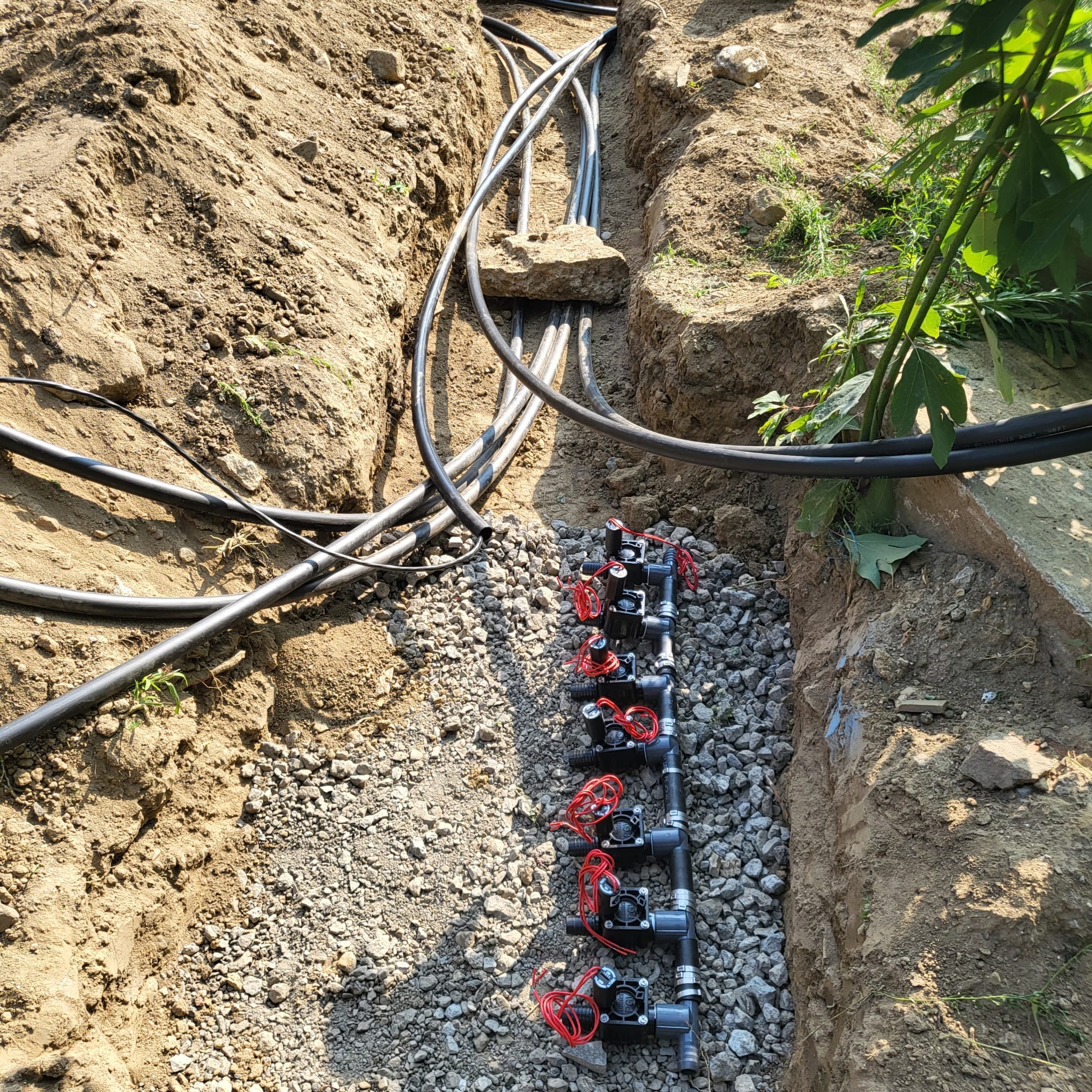 WhatsApp Image 2026-01-16 at 4.21.36 PM